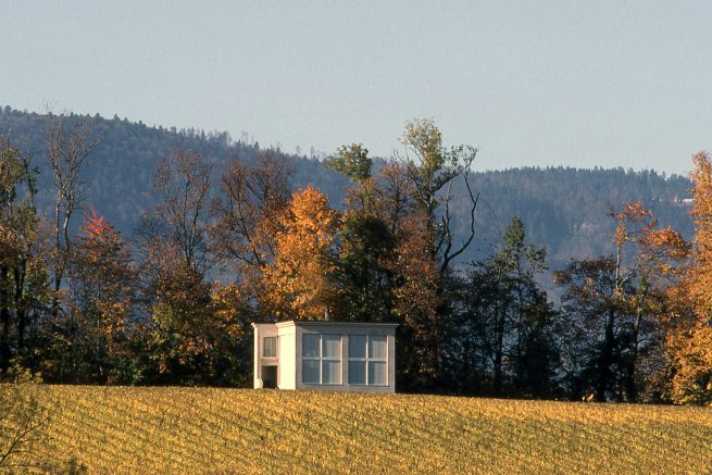 Vue sur une villa, maison dans un vignoble en automne projet par le bureau d'architecte Siebold à Genève, projet à Céligny